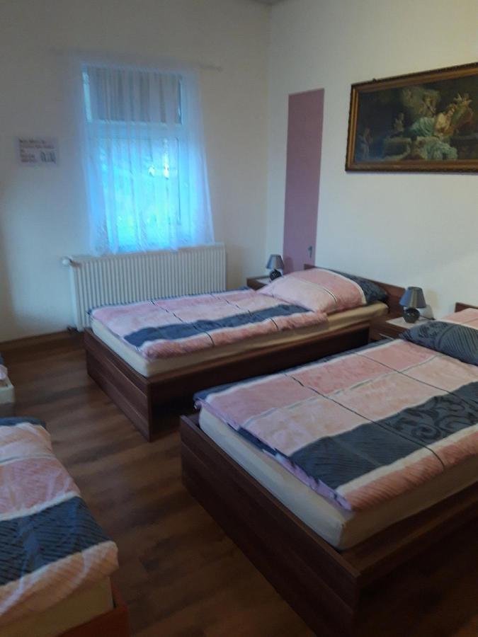 Ferienwohnung Erz-Hostel Thermalbad Wiesenbad Bagian luar foto