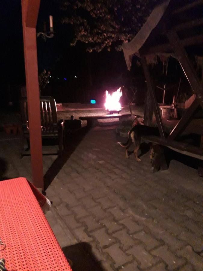Ferienwohnung Erz-Hostel Thermalbad Wiesenbad Bagian luar foto